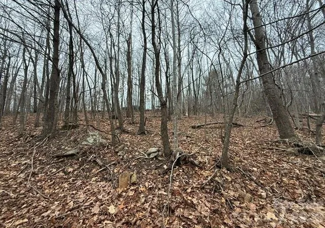 Photo 5 of Land for sale at 0 Cvs Gap Rd #1, Moravian Falls, NC 28654 | MLS# 4407970 | Listing updated on 2026-07-27
