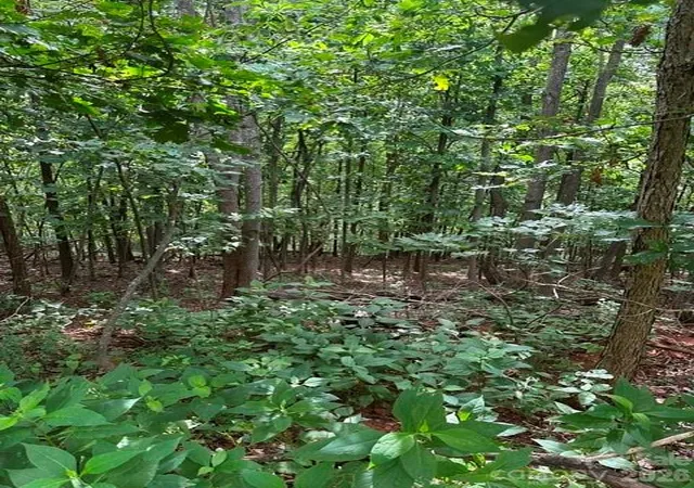 Photo 2 of Land for sale at 0 Cvs Gap Rd #2, Moravian Falls, NC 28654 | MLS# 4407974 | Listing updated on 2026-07-27