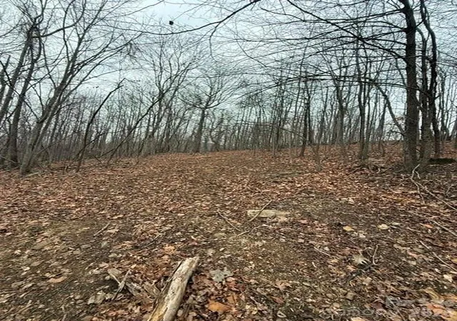 Photo 5 of Land for sale at 0 Cvs Gap Rd #2, Moravian Falls, NC 28654 | MLS# 4407974 | Listing updated on 2026-07-27