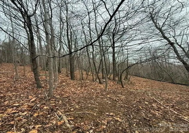 Photo 6 of Land for sale at 0 Cvs Gap Rd #2, Moravian Falls, NC 28654 | MLS# 4407974 | Listing updated on 2026-07-27