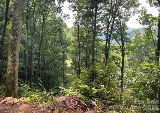 12th image of 242 Floyd Rd, Waynesville, NC 28786 | MLS# 4407991