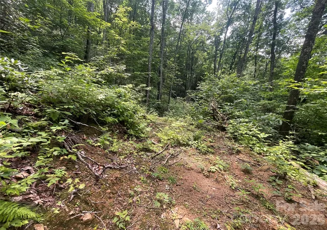 2nd image of 242 Floyd Rd, Waynesville, NC 28786 | MLS# 4407991