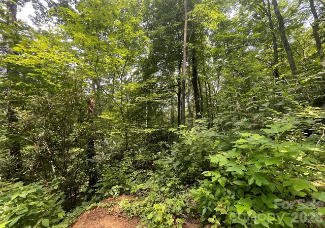 3rd image of 242 Floyd Rd, Waynesville, NC 28786 | MLS# 4407991