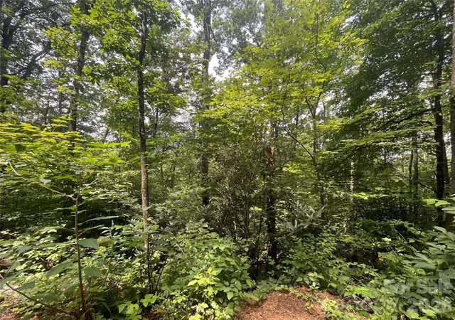4th image of 242 Floyd Rd, Waynesville, NC 28786 | MLS# 4407991