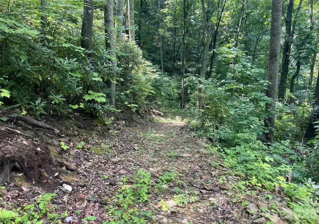 5th image of 242 Floyd Rd, Waynesville, NC 28786 | MLS# 4407991