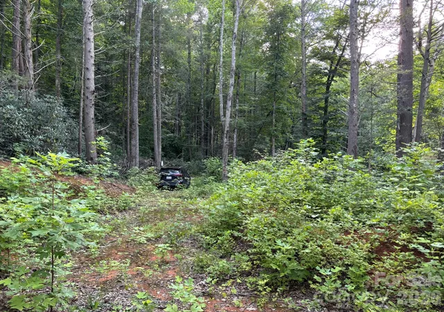 1st image of Lot 41 Peace Wood Ln #41, Hendersonville, NC 28792 | MLS# 4408015