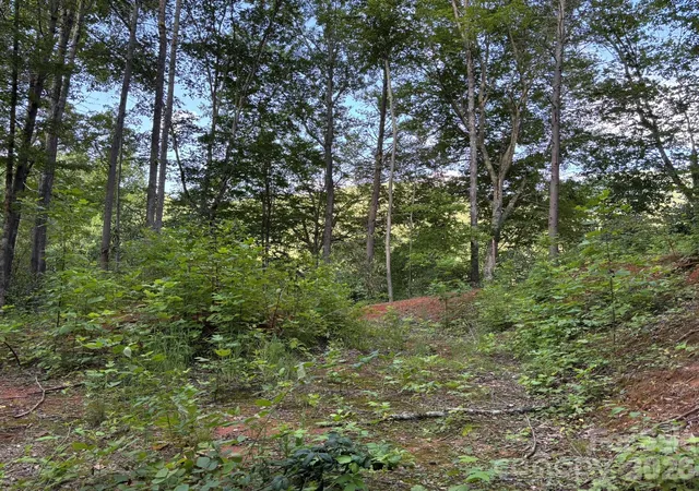 2nd image of Lot 41 Peace Wood Ln #41, Hendersonville, NC 28792 | MLS# 4408015