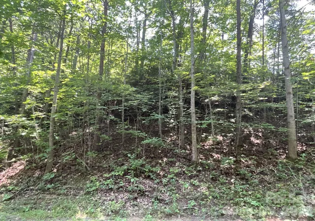 Photo 3 of Land for sale at Lot 77 Winesap Blvd, Lake Lure, NC 28746 | MLS# 4408140 | Listing updated on 2026-09-02