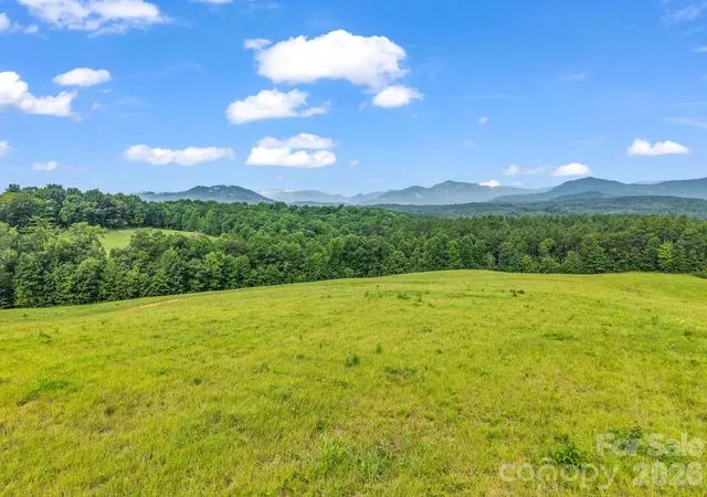 3rd image of 1054 Rainbow Rapids Rd, Rutherfordton, NC 28139 | MLS# 4408233