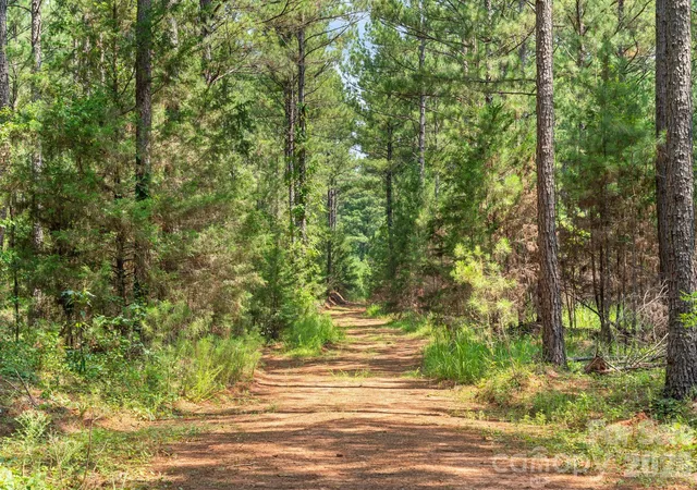 3rd image of 0000 Hwy 72 Hwy #1, Carlisle, SC 29031 | MLS# 4408342