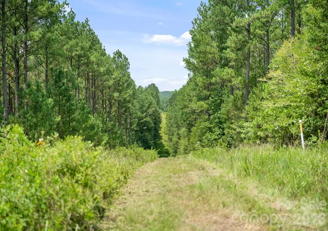 4th image of 0000 Hwy 72 Hwy #1, Carlisle, SC 29031 | MLS# 4408342