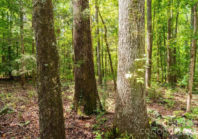 Photo 48 of Land for sale at 3312 Mcconnells Hwy W, Sharon, SC 29742 | MLS# 4408352 | Listing updated on 2026-08-13