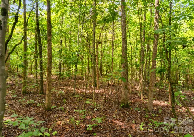 Photo 5 of Land for sale at 3312 Mcconnells Hwy W, Sharon, SC 29742 | MLS# 4408352 | Listing updated on 2026-08-13