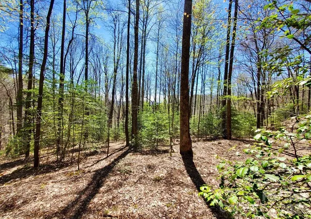 Photo 1 of Land for sale at Lot 9 Hemlock Fls Dr #9, Sylva, NC 28779 | MLS# 4408415 | Listing updated on 2026-07-27