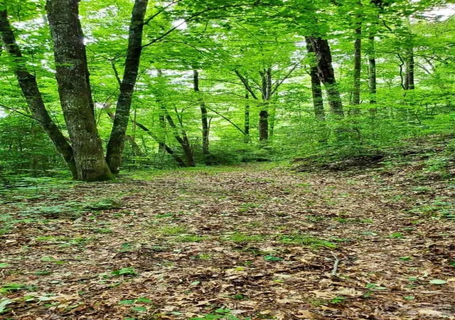 Photo 3 of Land for sale at Lot 9 Hemlock Fls Dr #9, Sylva, NC 28779 | MLS# 4408415 | Listing updated on 2026-07-27