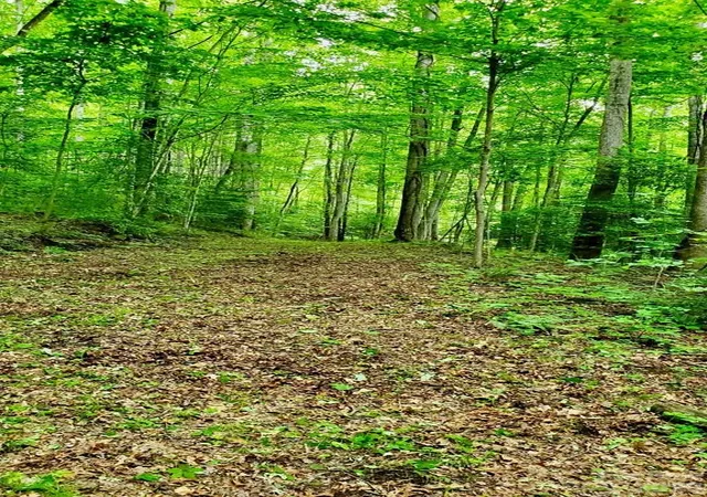 Photo 4 of Land for sale at Lot 9 Hemlock Fls Dr #9, Sylva, NC 28779 | MLS# 4408415 | Listing updated on 2026-07-27