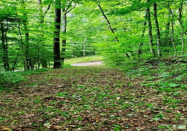 Photo 5 of Land for sale at Lot 9 Hemlock Fls Dr #9, Sylva, NC 28779 | MLS# 4408415 | Listing updated on 2026-07-27