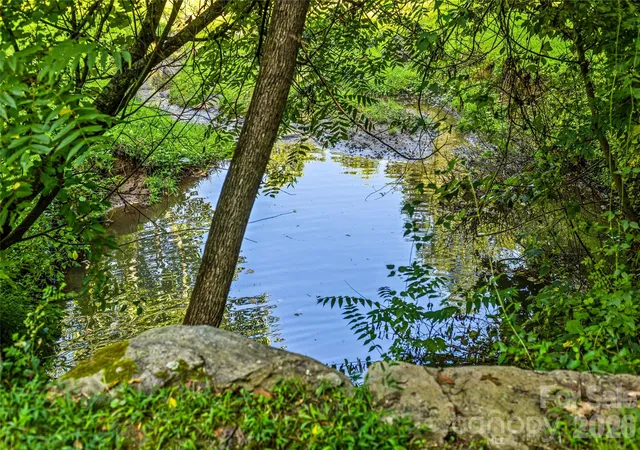 43rd image of 820 Merrills Cove Rd, Asheville, NC 28803 | MLS# 4408419