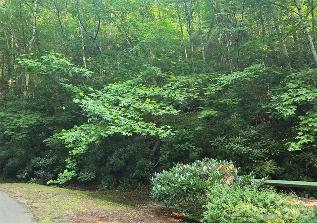 2nd image of Tbd Henry Dingus Wy #26, Maggie Valley, NC 28751 | MLS# 4408463