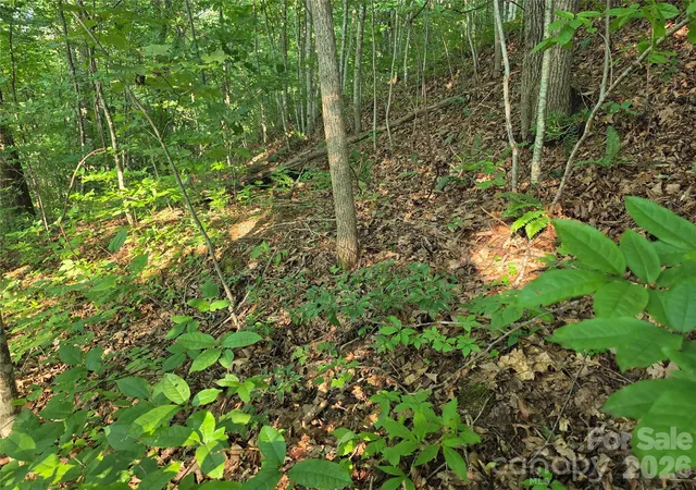 10th image of Tbd Henry Dingus Wy #26, Maggie Valley, NC 28751 | MLS# 4408463