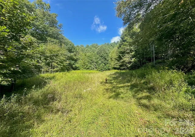 Photo 1 of Land for sale at Tbd Old Anderson Quarry Rd, Vilas, NC 28692 | MLS# 4408498 | Listing updated on 2026-07-28