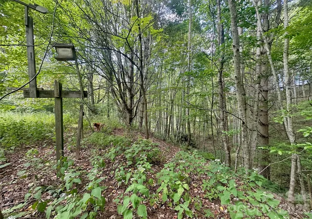 Photo 21 of Land for sale at Tbd Old Anderson Quarry Rd, Vilas, NC 28692 | MLS# 4408498 | Listing updated on 2026-07-28