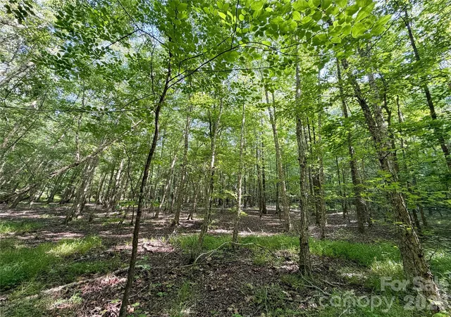 Photo 3 of Land for sale at 6244 Oakridge Rd, Clover, SC 29710 | MLS# 4408507 | Listing updated on 2026-08-22