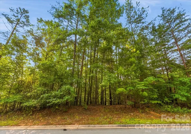 Photo 4 of Land for sale at 178 Lentz Landing Ln, Nebo, NC 28761 | MLS# 4408615 | Listing updated on 2026-10-08