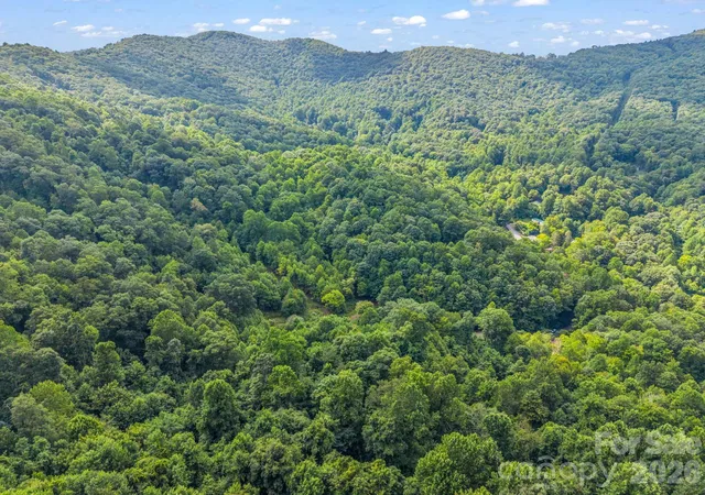 38th image of 60 Owenby Cove Rd, Fairview, NC 28730 | MLS# 4408666