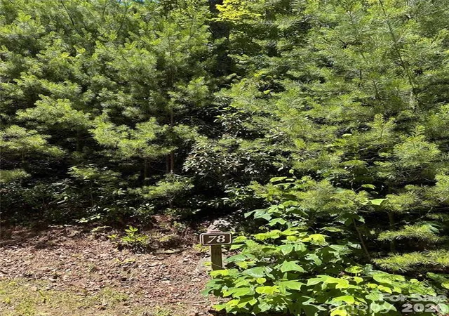 Photo 1 of Land for sale at 66 Boone Cvs Rd, Zirconia, NC 28790 | MLS# 4408671 | Listing updated on 2026-08-13