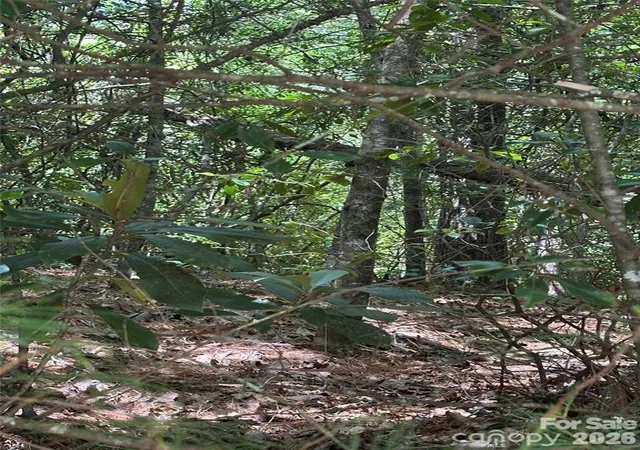 Photo 3 of Land for sale at 66 Boone Cvs Rd, Zirconia, NC 28790 | MLS# 4408671 | Listing updated on 2026-08-13