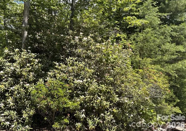 Photo 3 of Land for sale at 66 Boone Cvs Rd, Zirconia, NC 28790 | MLS# 4408671 | Listing updated on 2026-08-13