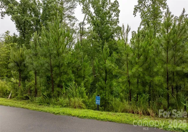 Photo 3 of Land for sale at 0 Scenic Ln #253, Granite Falls, NC 28630 | MLS# 4408683 | Listing updated on 2026-08-25
