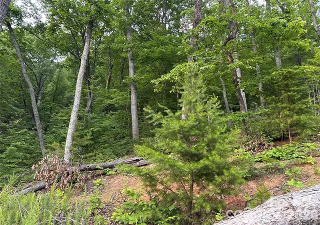 2nd image of 0 Golden Ridge Dr, Lake Lure, NC 28746 | MLS# 4408687