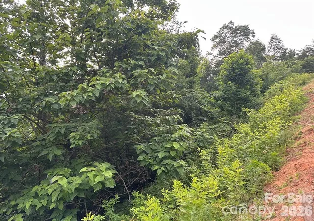 3rd image of 0 Golden Ridge Dr, Lake Lure, NC 28746 | MLS# 4408687