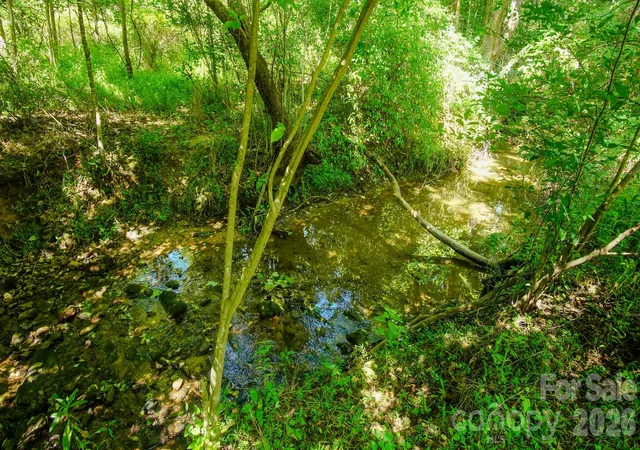 Photo 3 of Land for sale at 00 Ode Kerley Ln, Taylorsville, NC 28681 | MLS# 4408695 | Listing updated on 2026-08-12