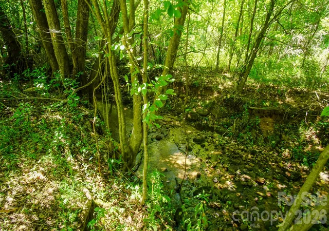 Photo 5 of Land for sale at 00 Ode Kerley Ln, Taylorsville, NC 28681 | MLS# 4408695 | Listing updated on 2026-08-12