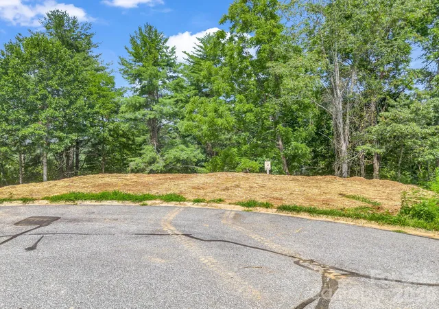 image of 50 Erin Glen Ct, Fairview, NC 28730 | MLS# 4408797