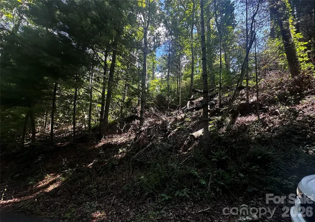 Photo 11 of Land for sale at 0 Ashland Mountain Rd, Bakersville, NC 28705 | MLS# 4408971 | Listing updated on 2026-07-30