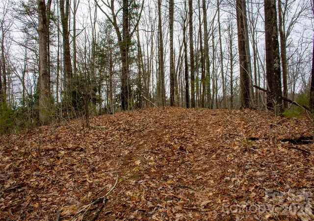 Photo 2 of Land for sale at 0 Ashland Mountain Rd, Bakersville, NC 28705 | MLS# 4408971 | Listing updated on 2026-07-30