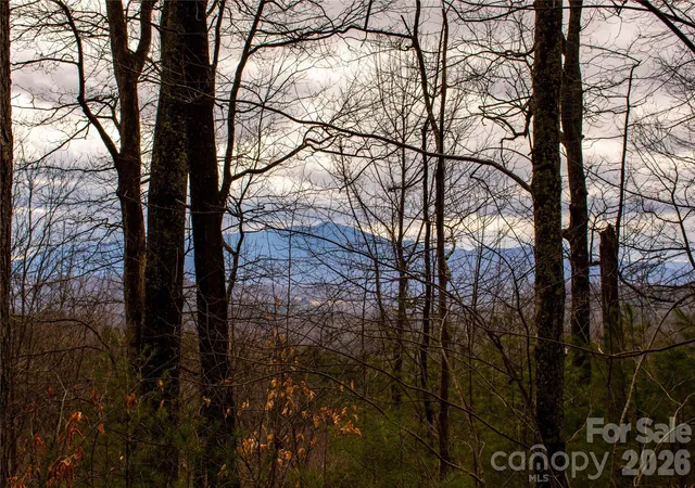 Photo 4 of Land for sale at 0 Ashland Mountain Rd, Bakersville, NC 28705 | MLS# 4408971 | Listing updated on 2026-07-30