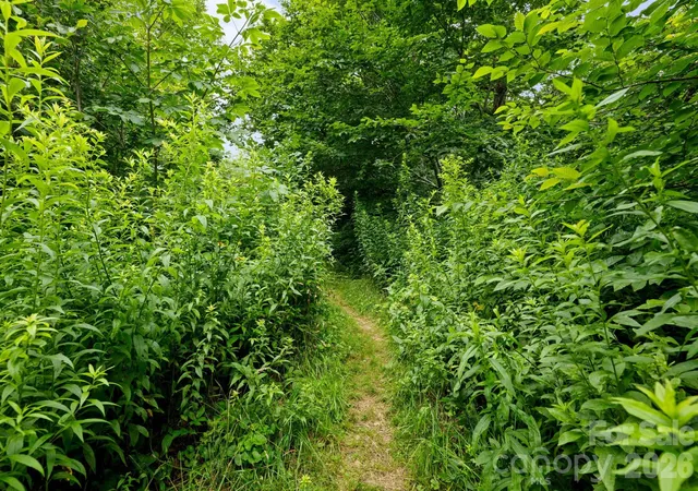 Photo 5 of Land for sale at Lot 96 Cloud Spring Dr #96, Sugar Mountain, NC 28604 | MLS# 4409019 | Listing updated on 2026-08-19