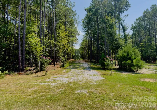 Photo 2 of Land for sale at 955 Cole Trestle Rd, Blair, SC 29015 | MLS# 4409062 | Listing updated on 2026-08-27