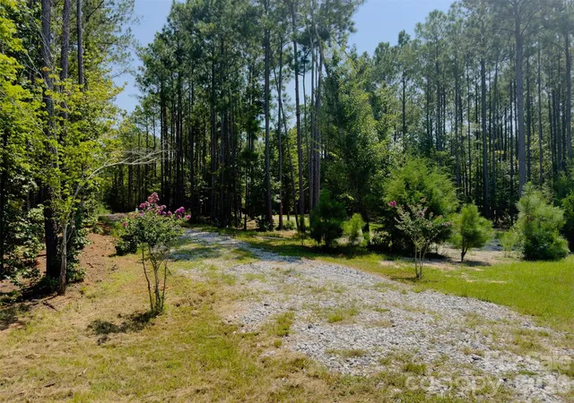 Photo 3 of Land for sale at 955 Cole Trestle Rd, Blair, SC 29015 | MLS# 4409062 | Listing updated on 2026-08-27