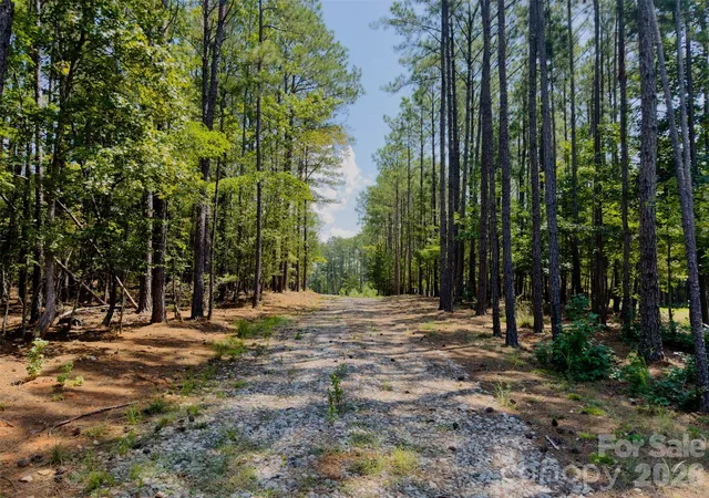 Photo 4 of Land for sale at 955 Cole Trestle Rd, Blair, SC 29015 | MLS# 4409062 | Listing updated on 2026-08-27