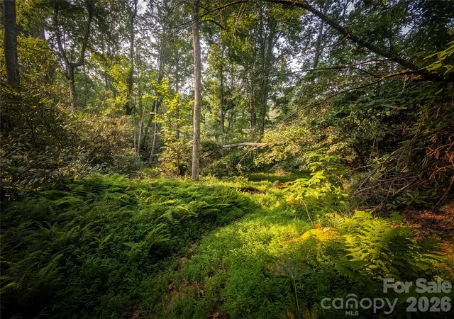 47th image of 328 Wooded Valley Ln, Burnsville, NC 28714 | MLS# 4409092