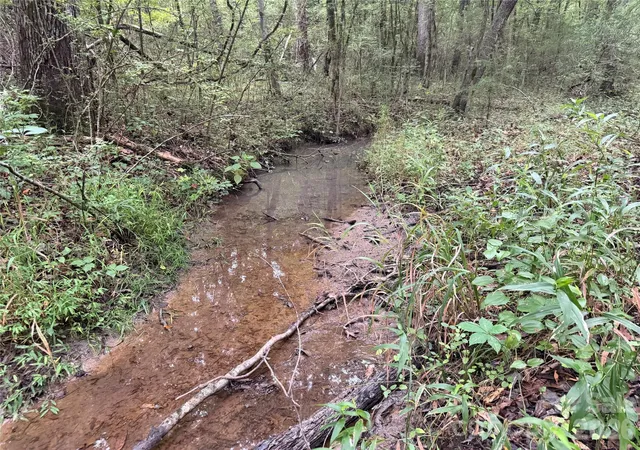Photo 1 of Land for sale at 00 W Chappell Rd, Mc Connells, SC 29726 | MLS# 4409115 | Listing updated on 2026-08-23