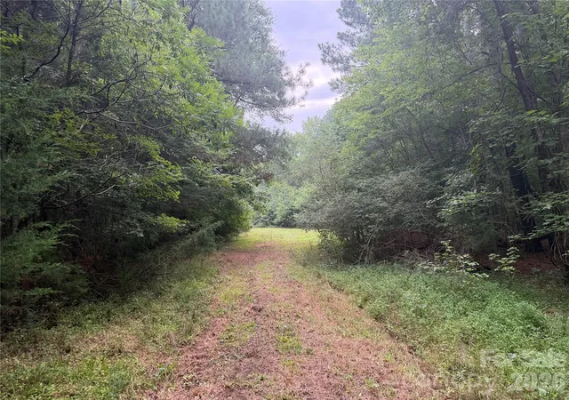 Photo 2 of Land for sale at 00 W Chappell Rd, Mc Connells, SC 29726 | MLS# 4409115 | Listing updated on 2026-08-23