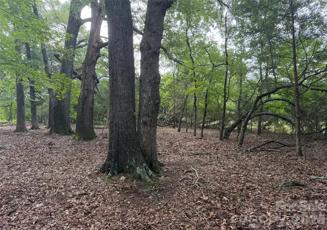 Photo 4 of Land for sale at 00 W Chappell Rd, Mc Connells, SC 29726 | MLS# 4409115 | Listing updated on 2026-08-23