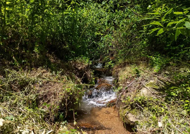 Photo 5 of Land for sale at 1249 Monteith Branch Rd, Sylva, NC 28779 | MLS# 4409189 | Listing updated on 2026-09-02